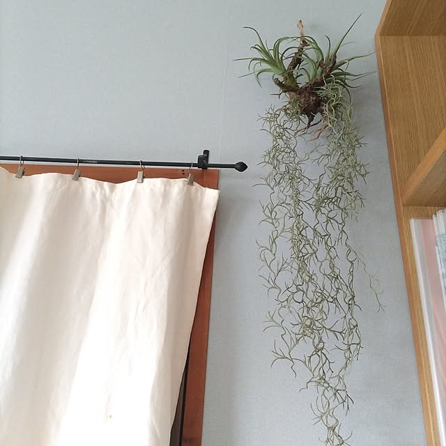 sakiさんの部屋