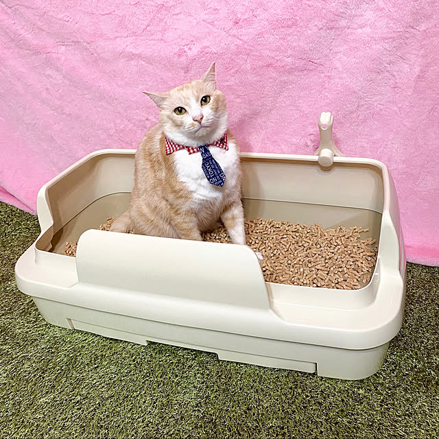 ike2910さんの実例写真