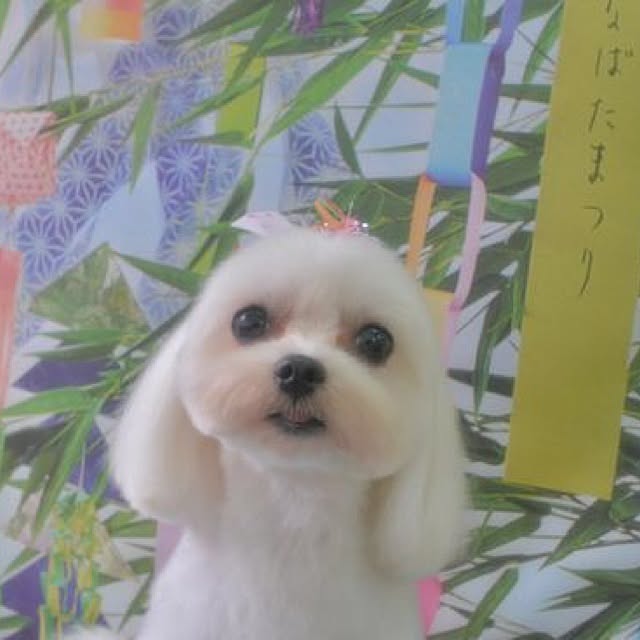 Minamiさんの実例写真