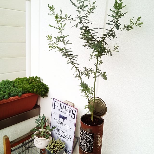 VERANDARJUNさんの実例写真