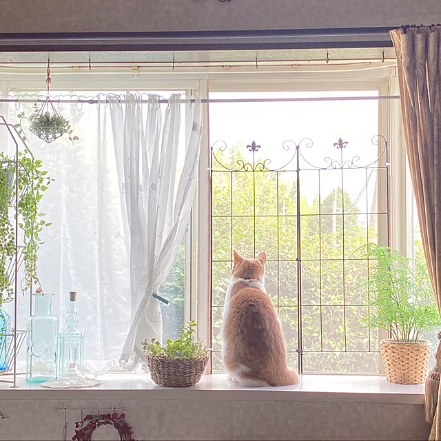 mintteaさんの実例写真