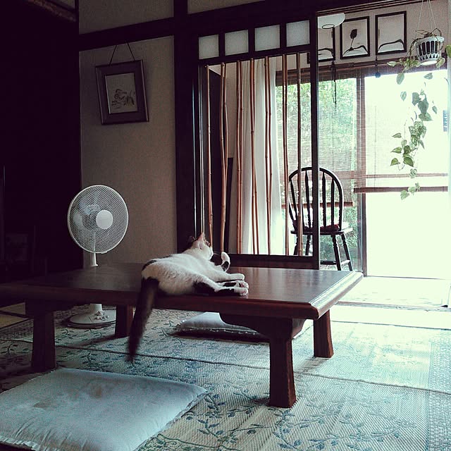amelliaさんの実例写真