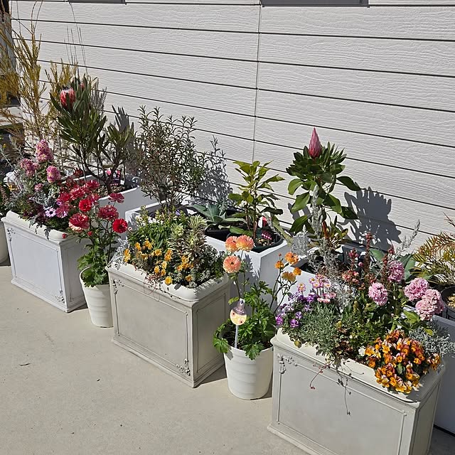 nonbiri_house_さんの実例写真