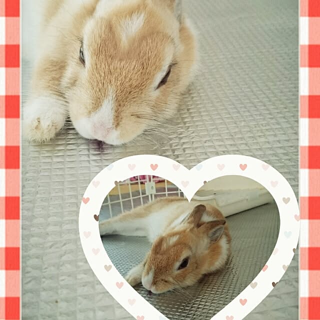emiさんの実例写真