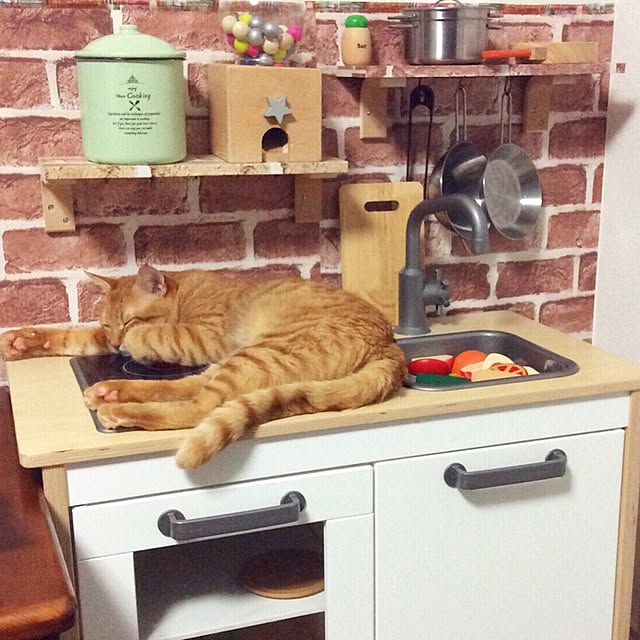 mi_ha_starさんの実例写真