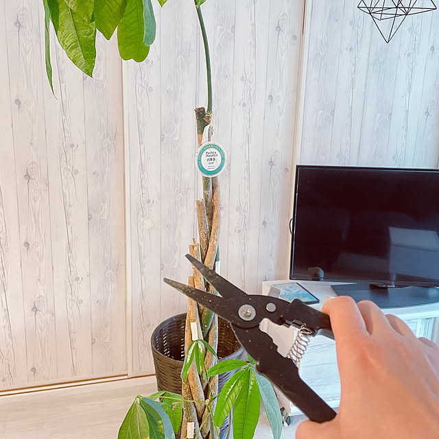 funiさんの実例写真