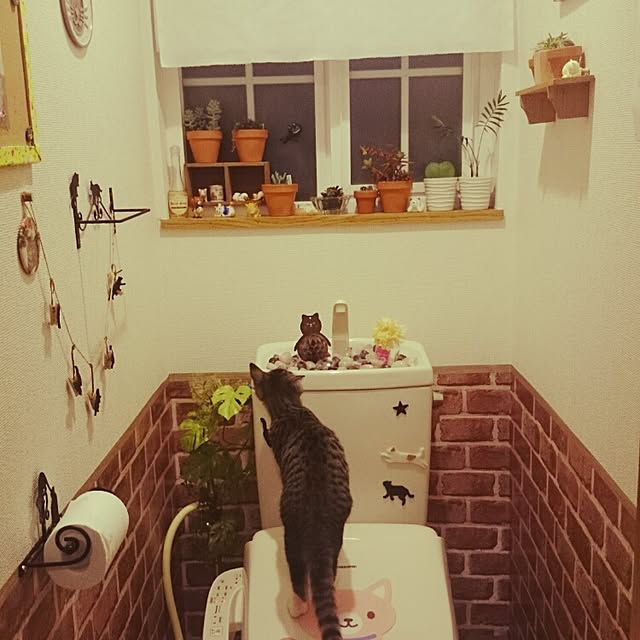 kikufujiさんの実例写真