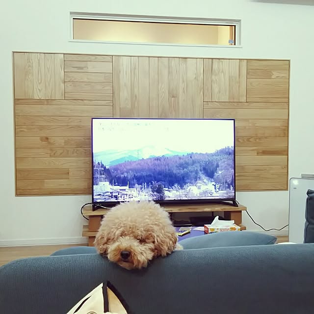 tentenさんの実例写真
