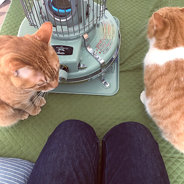 mokiさんの実例写真