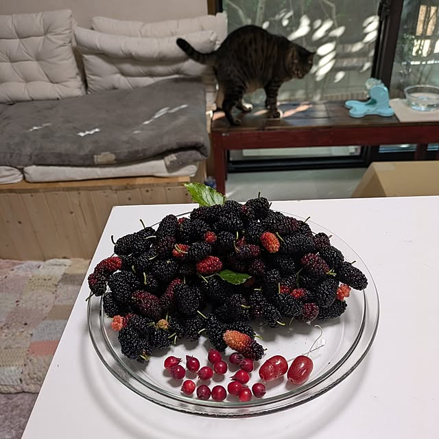 mori_6_12さんの実例写真