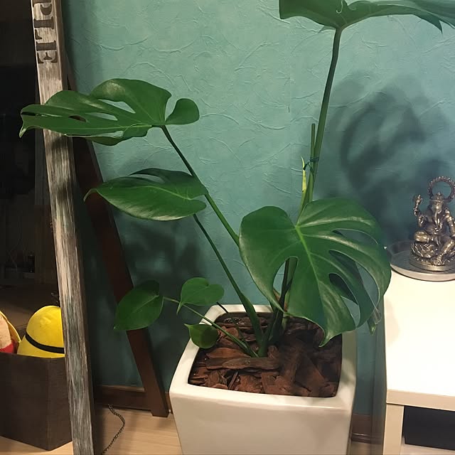 meさんの実例写真