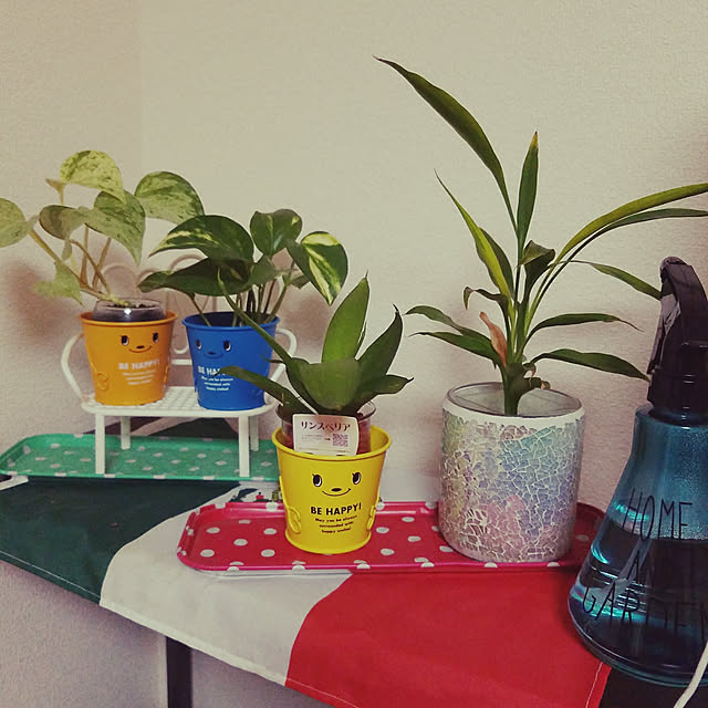 リビング/観葉植物のインテリア実例 - 2019-02-07 19:32:41