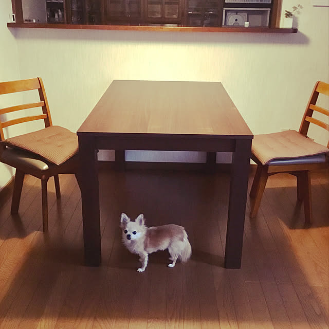 splush1219さんの実例写真
