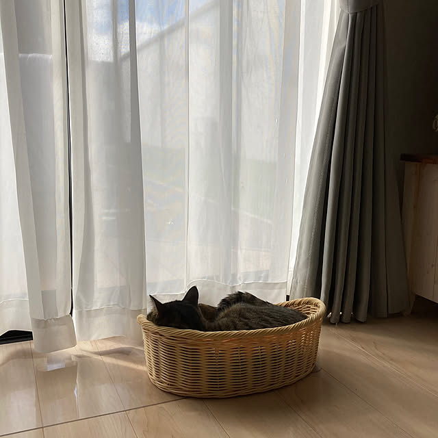 ruruさんの実例写真