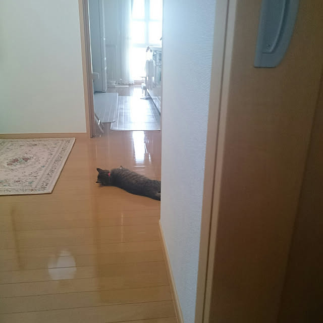 lilyさんの実例写真