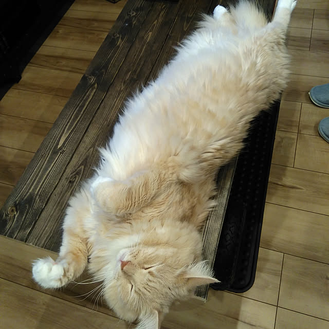 koto.ohanaさんの実例写真