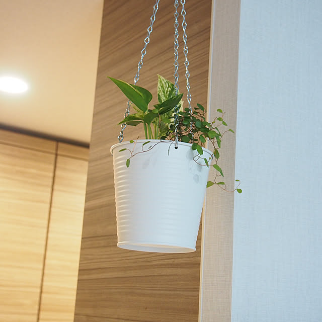 chikoさんの部屋