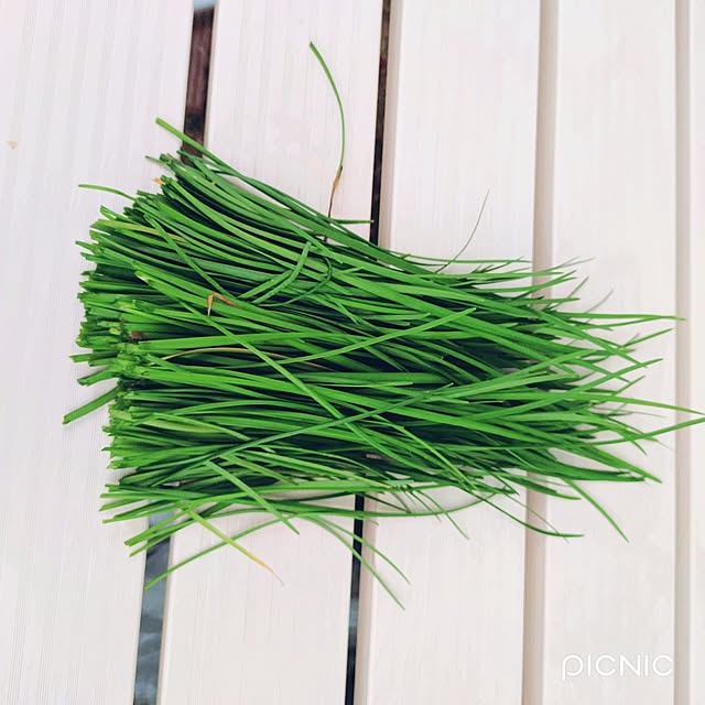 Miyumamaさんの実例写真