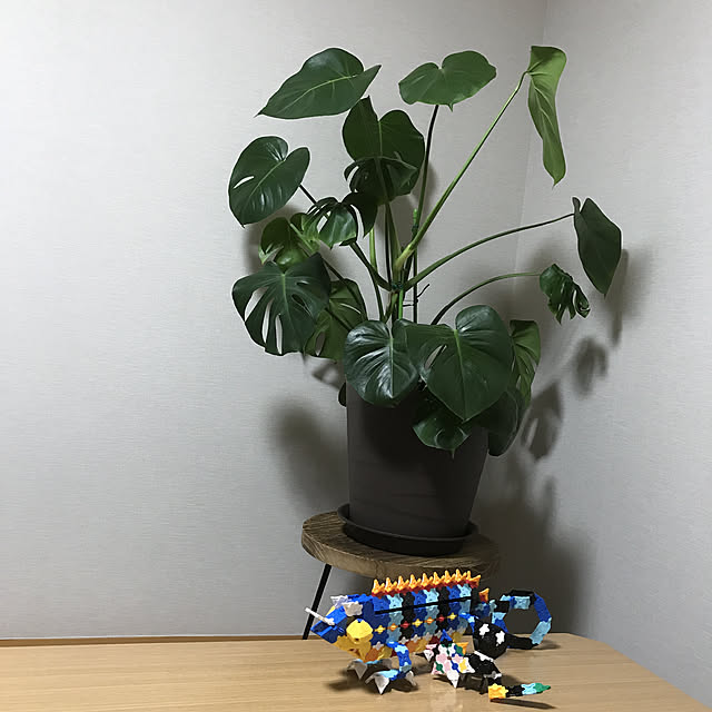sourae3130さんの実例写真