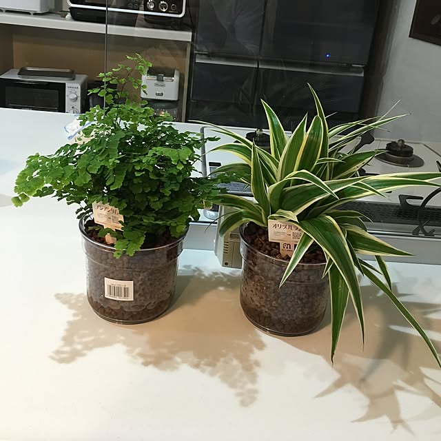 hiko.andさんの実例写真