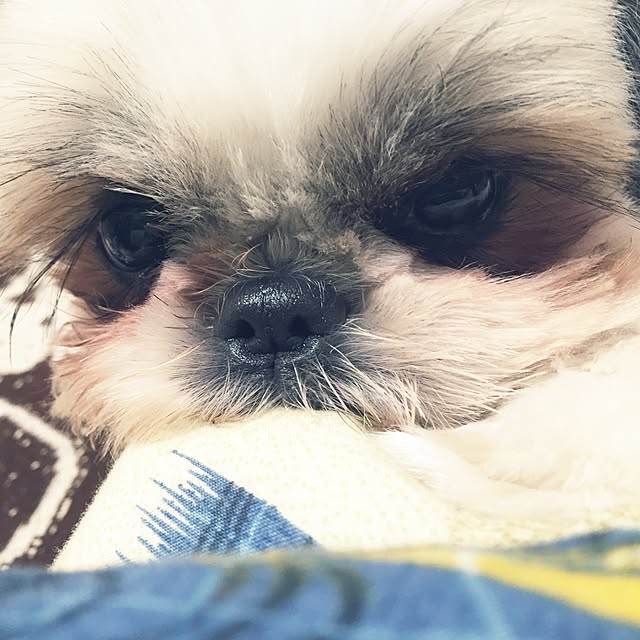 Kanamiさんの実例写真