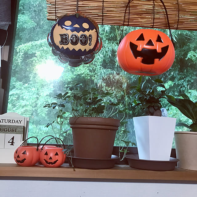Liccaさんの実例写真