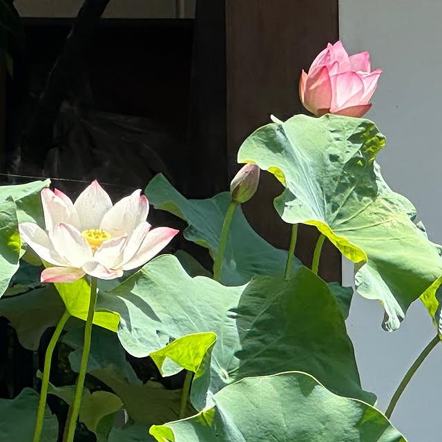 mizucchiさんの部屋