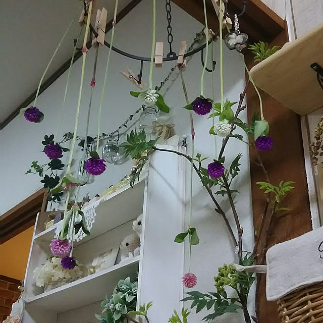 naopyiさんの実例写真