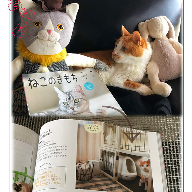 miruさんの実例写真