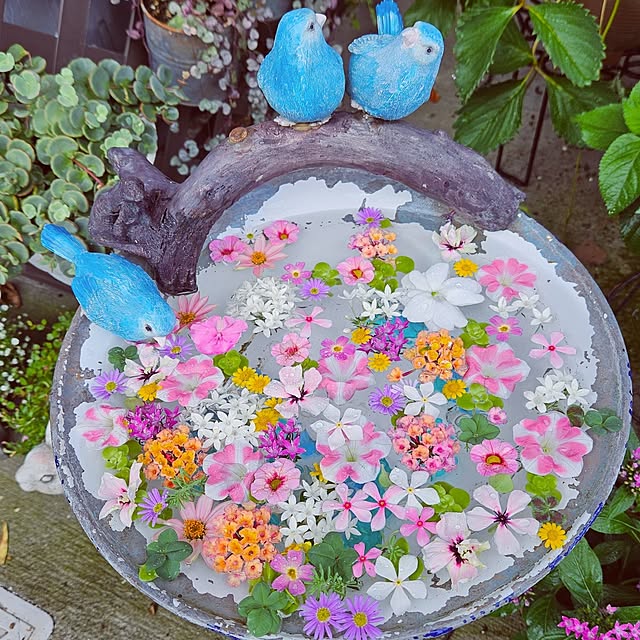 mocomocoさんの実例写真