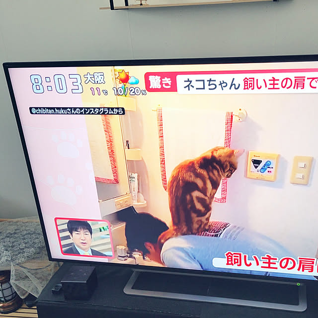 akimameさんの実例写真