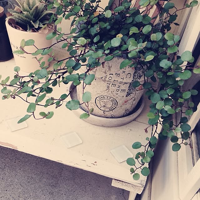 rookuさんの実例写真