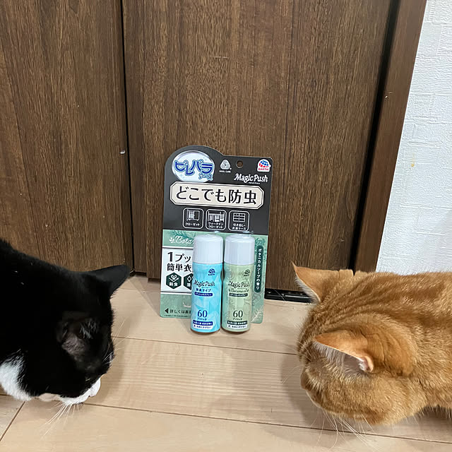 nekoさんの実例写真