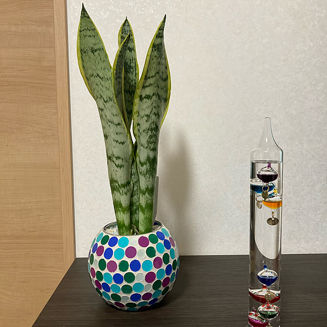 hironさんの実例写真