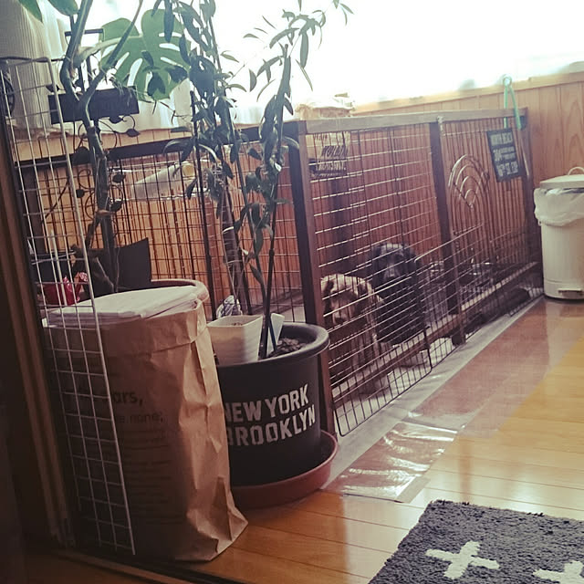 tikuwaさんの実例写真