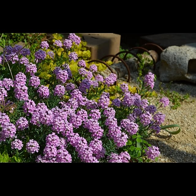 GreenWorksさんの実例写真