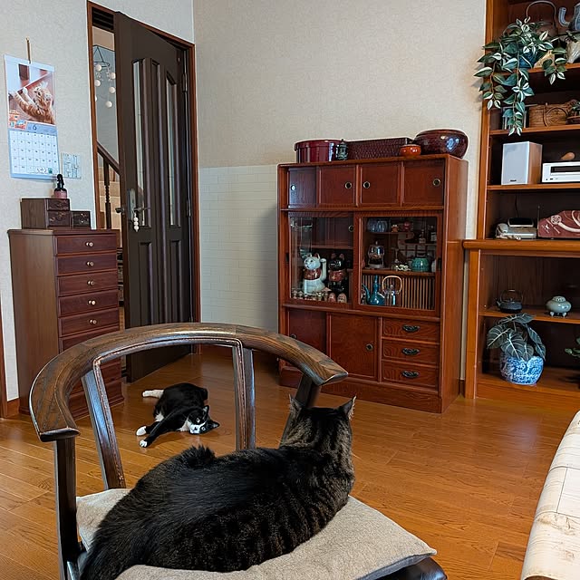 Mayumi8888さんの実例写真