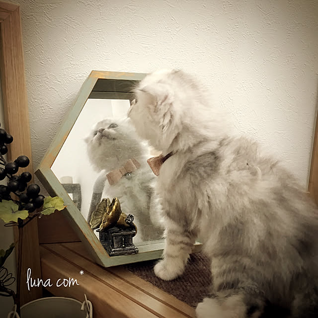 luna.comさんの実例写真