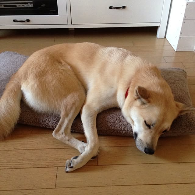 leonaさんの実例写真