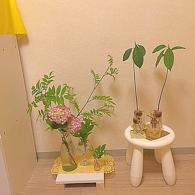 実例写真