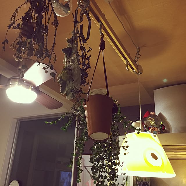 greentailさんの実例写真