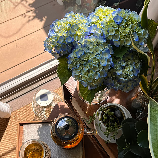 kojimasaさんの部屋