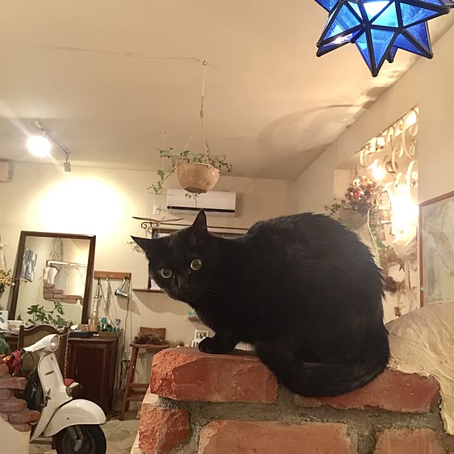 rosemaryさんの実例写真