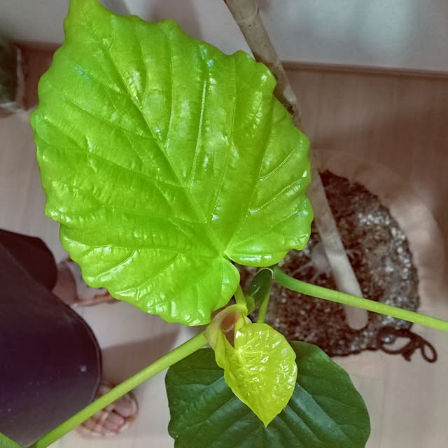 mocomocoさんの部屋