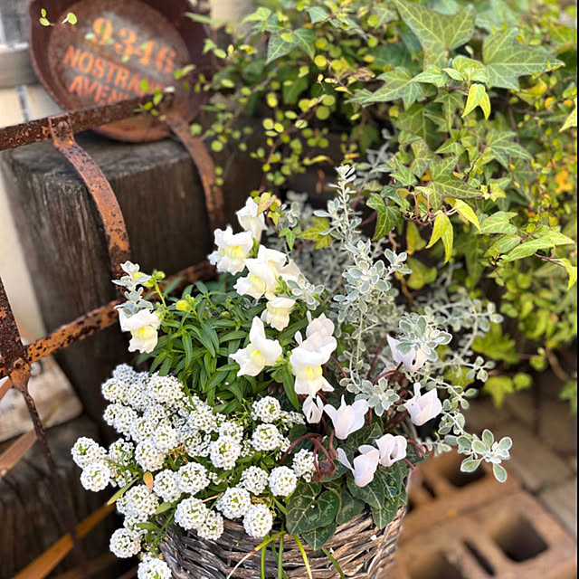nokoさんの実例写真