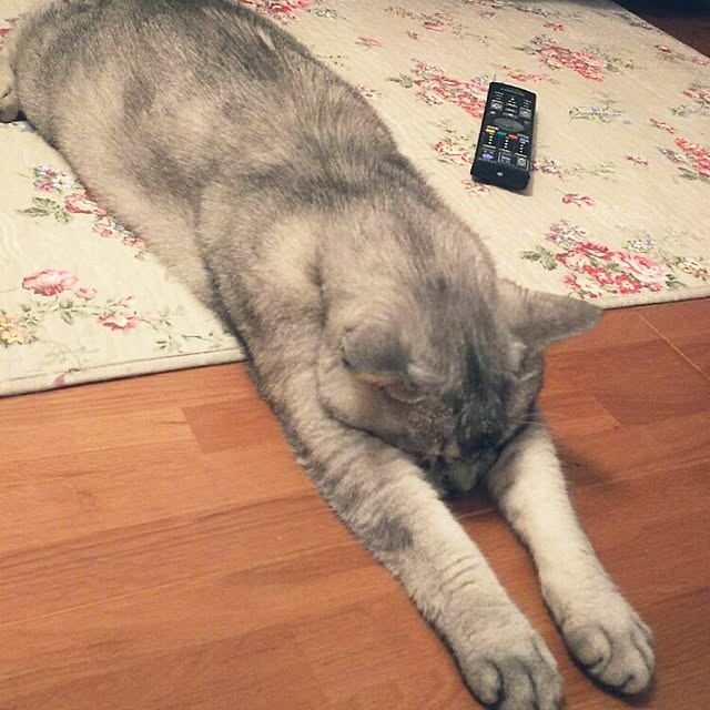 tamacharouさんの実例写真
