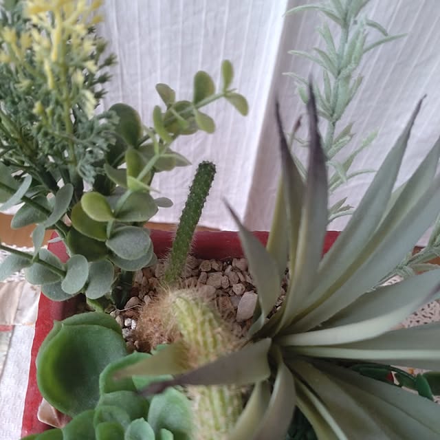 Hujikoさんの部屋