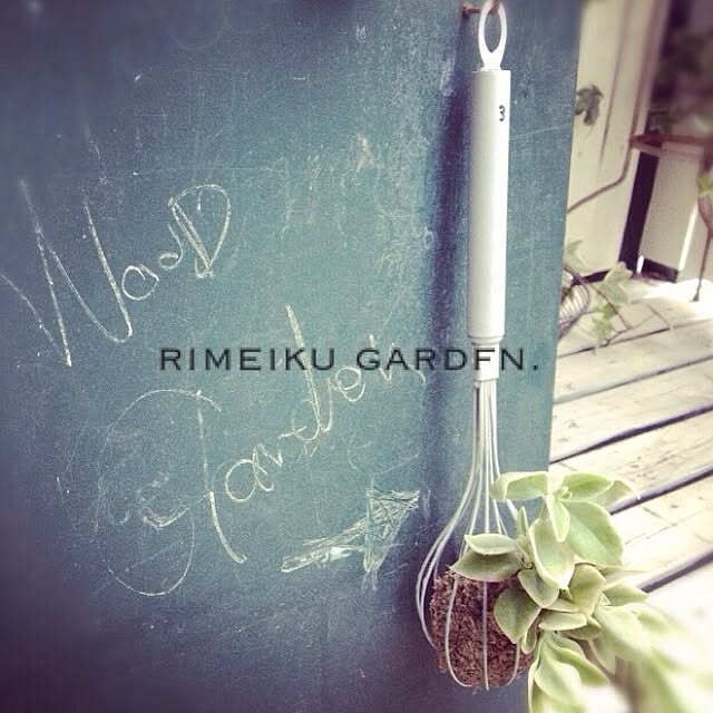 Mikaさんの実例写真