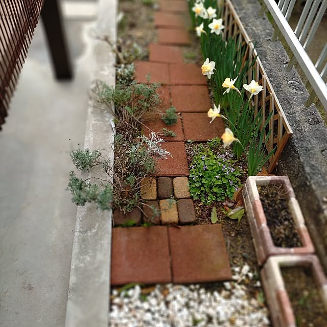 ameamekaasanさんの部屋