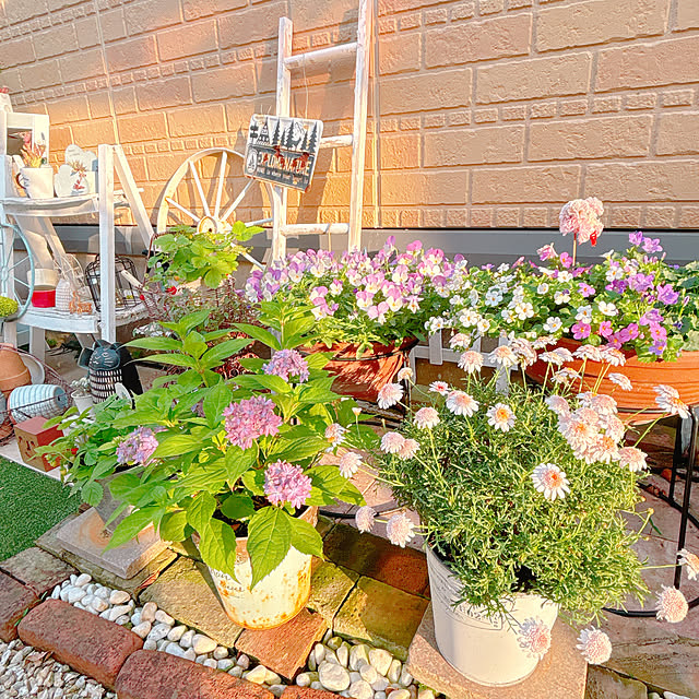 moolさんの部屋